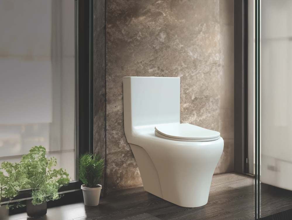 White one-piece WC, stone bathroom — Sanitaryware — Imperial Design Concepts, Mohali
