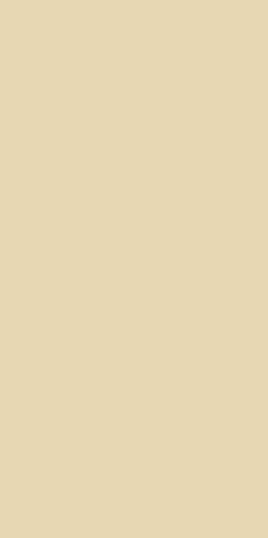Citron Matt Tile, 600 × 1200 mm full-body porcelain — IDC Mohali