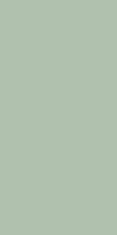 Moss Matt Tile, 600 × 1200 mm full-body porcelain — IDC Mohali